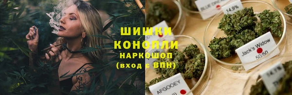 гашик Алзамай